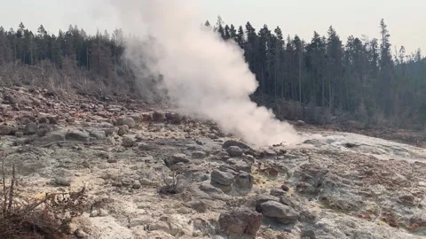 Geyser Steam in front of Trees- Stock Footage 179042135