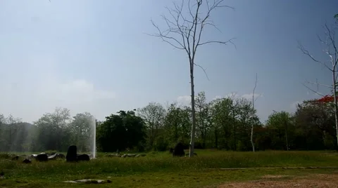 Geysers and the tree Stock Footage 49802267