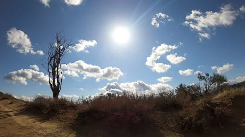 GH010025 Video stock 153716355