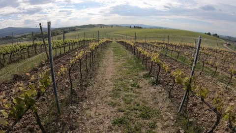 GH010128 Video stock 128664091