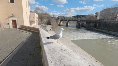 GH010308 Видео 126393706