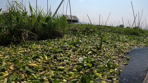 GH010496 Stock Footage 126095644