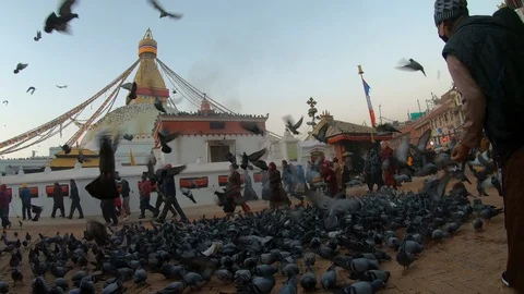 GH016436 스톡 동영상 127140993