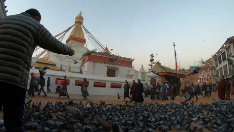 GH016437 Video stock 127141164