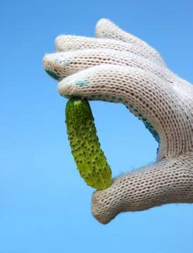 Gherkin Stock Photos