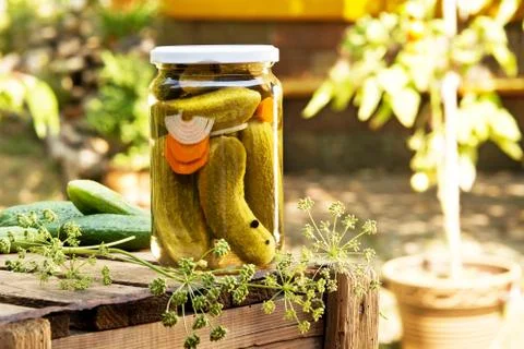 Gherkins Stock Photos