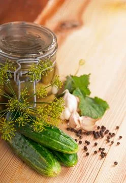 Gherkins. Pickles. Salted Cucumbers still-life Stock Photos
