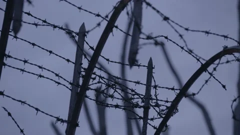 Ghetto wires 4K Stock Footage 146308018