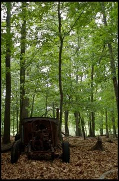 Ghost car in forest Stock Photos