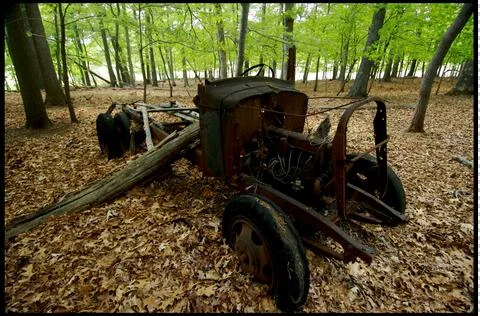 Ghost car in forest Stock Photos