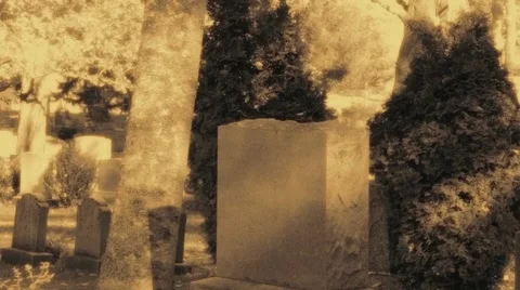 Ghost in the Cemetery BW Видео 45529643