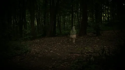 Ghost Child Stock Footage 22637535