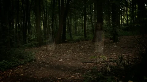 Ghost Child Stock Footage 22637538