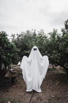 Ghost covered with a white ghost sheet on a forest. Halloween Concept Stock Photos