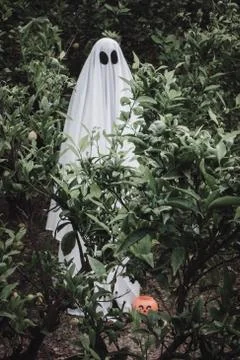 Ghost covered with a white ghost sheet on a forest with halloween pumpkin can Stock Photos