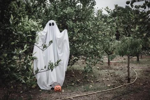 Ghost covered with a white ghost sheet on a forest with halloween pumpkin can Stock Photos