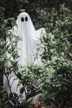Ghost covered with a white ghost sheet on a forest. Halloween Concept Stock Photos