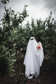 Ghost covered with a white ghost sheet on a forest with halloween pumpkin can Stock Photos