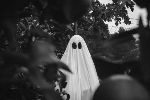 Ghost covered with a white ghost sheet on a forest. Halloween Concept Stock Photos