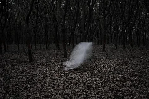 A ghost in a dark forest Stock Photos