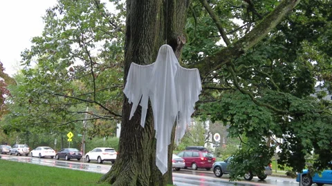 GHOST DECORATION Stock Footage 190033706