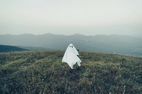Ghost flying on meadow Stock Photos