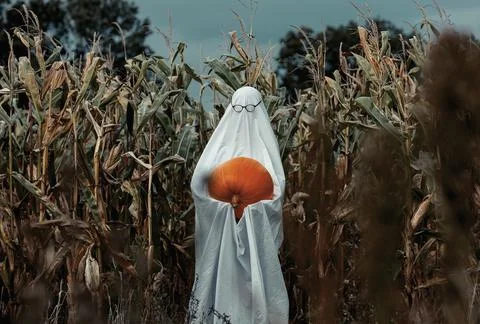 Ghost in glasses with pumpkin on corn field in autumn Stock Photos