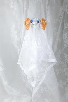 Ghost in lace curtain Stock Photos