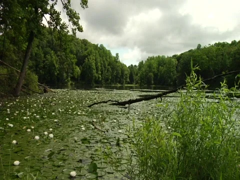 Ghost Lake 01 Stock Footage 456282