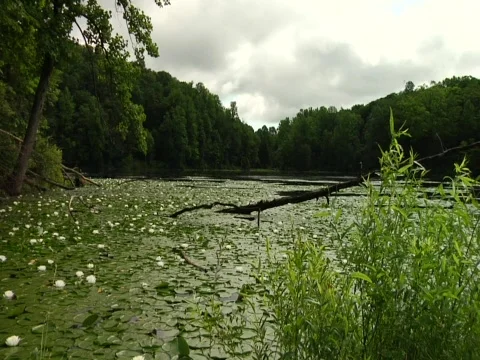 Ghost Lake 02 Stock Footage 456308