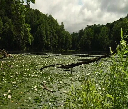 Ghost Lake 03 Stock Footage 456340
