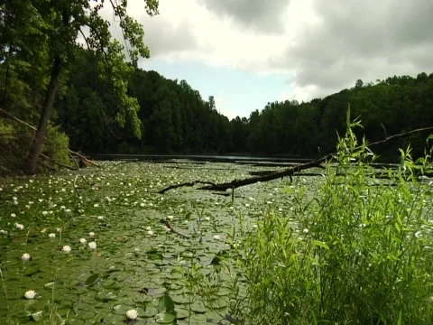 Ghost Lake Timelapse 03 Stock Footage 456235