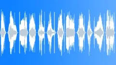 Ghost Manifestations - 12 tracksSound Effect