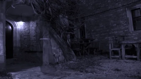 Ghost Monk walking Monochrome 動画素材 106189693