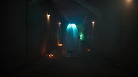 Ghost Moving Forward In The Creepy Night Stock Footage 317620464