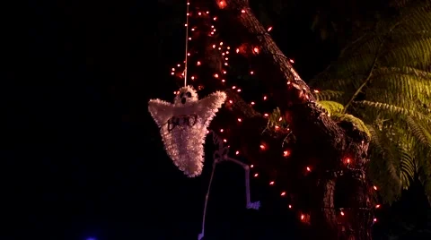 Ghost Ornament Dangling From Tree Vidéo 48845418