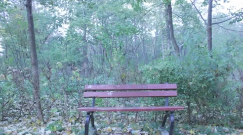 Ghost in the park Stock Footage 43045067