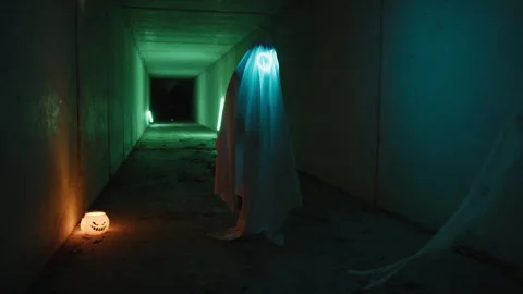 The Ghost Is Searching For Something Stock Footage 317622168