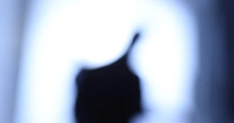 Ghost Silhouette shadow Stock Footage 98665066