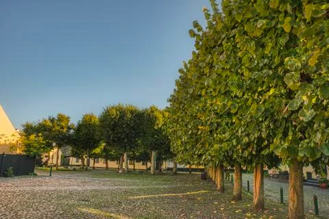 Ghost square and blooming trees reflect morning tranquillity in a Danish village Stock Photos