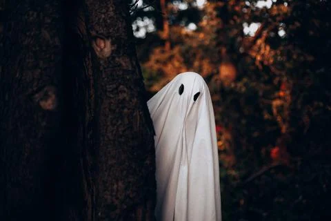 Ghost standing behind the tree in forest during Halloween Stock Photos