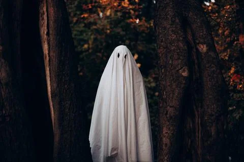 Ghost standing between trees in forest during Halloween Stock Photos