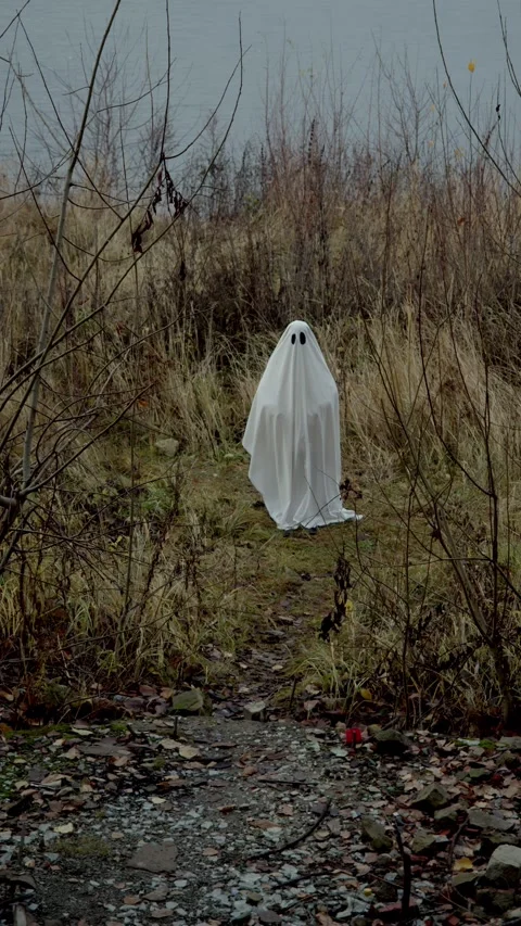 Ghost stands still but sways gently, surrounded by faded plants and fallen Stock Footage 320248684