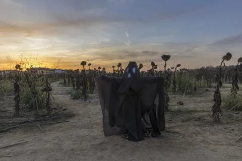 Ghost at sunset 库存照片