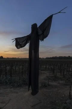 Ghost at sunset 스톡 사진
