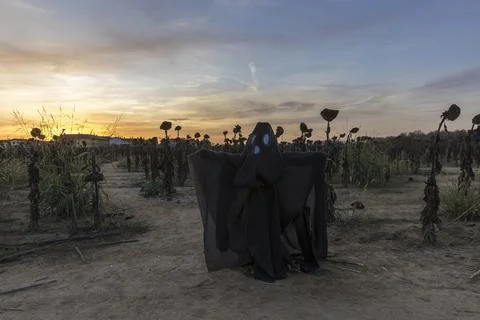 Ghost at sunset 스톡 사진