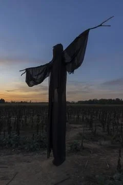 Ghost at sunset 库存照片