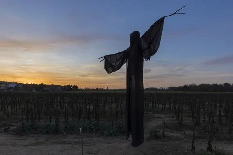 Ghost at sunset 스톡 사진