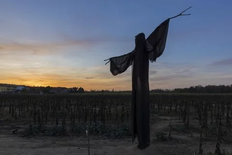 Ghost at sunset 스톡 사진