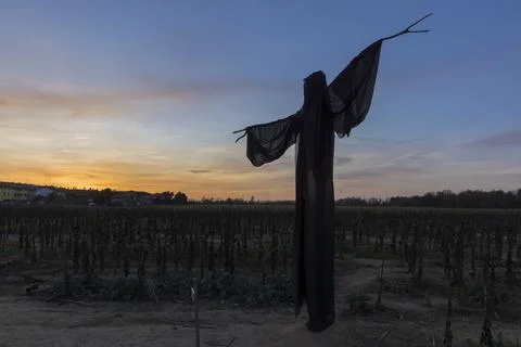 Ghost at sunset 스톡 사진